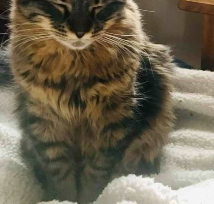 Photo of Lucy, aka "Lou - Shooz"