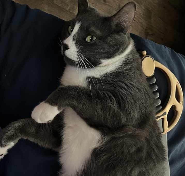 Photo of Turbo