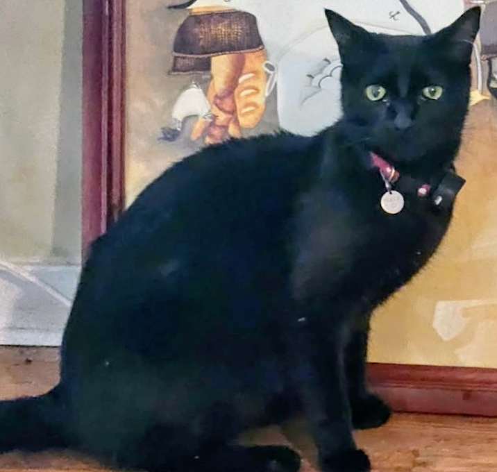 Photo of MILLIE