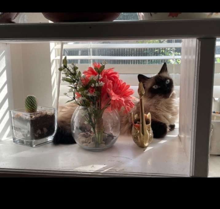 Photo of Lilah