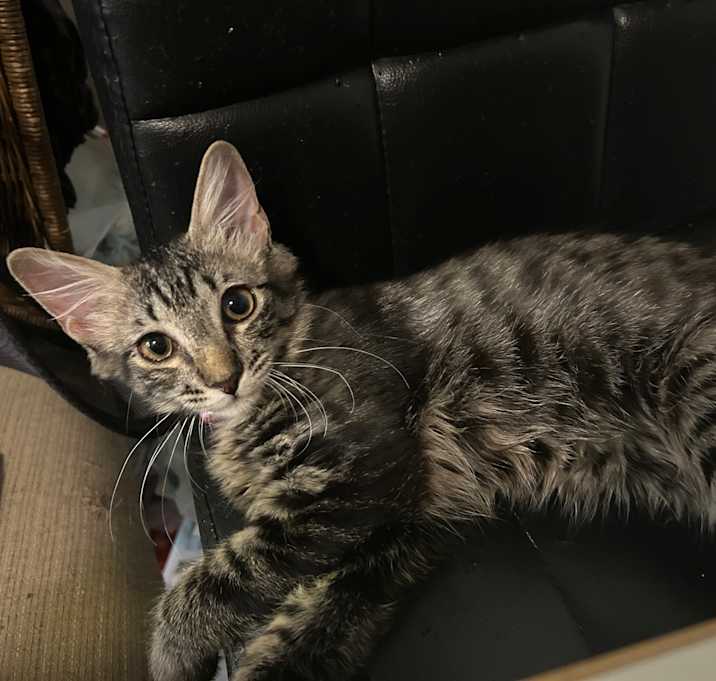 Photo of floppy