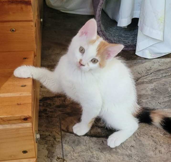 Photo of Rosie