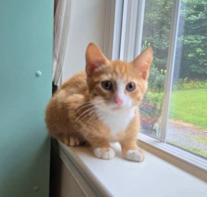 Photo of Leo