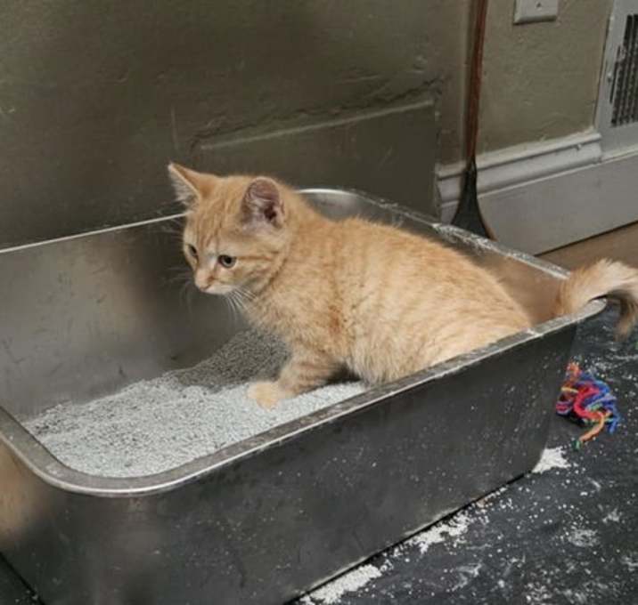 Photo of Molson