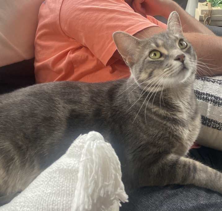 Photo of Stormy