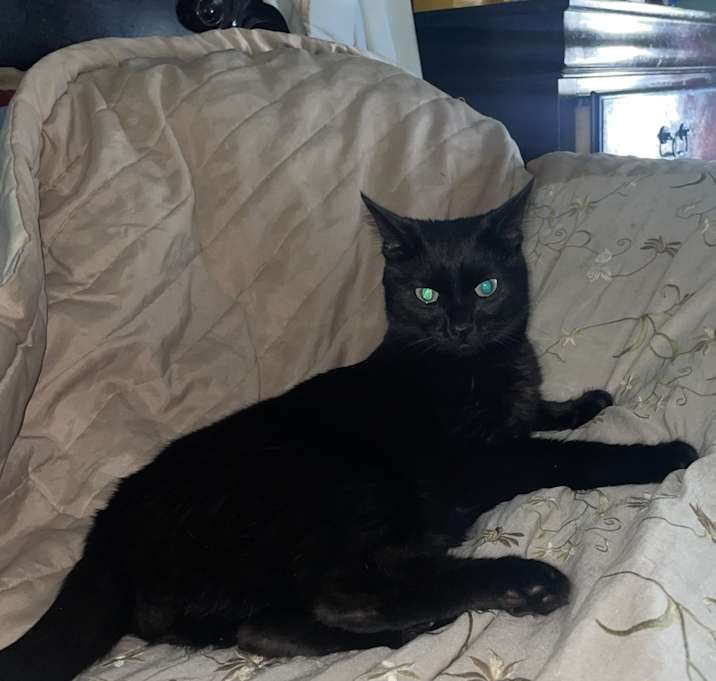 Photo of Artemis