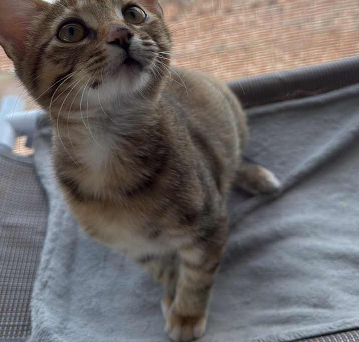 Photo of Zoe