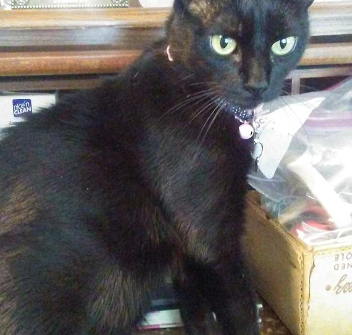 Photo of Zena