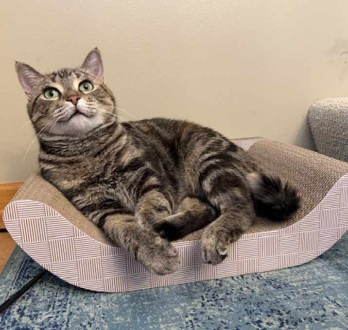 Photo of Nayla C63873