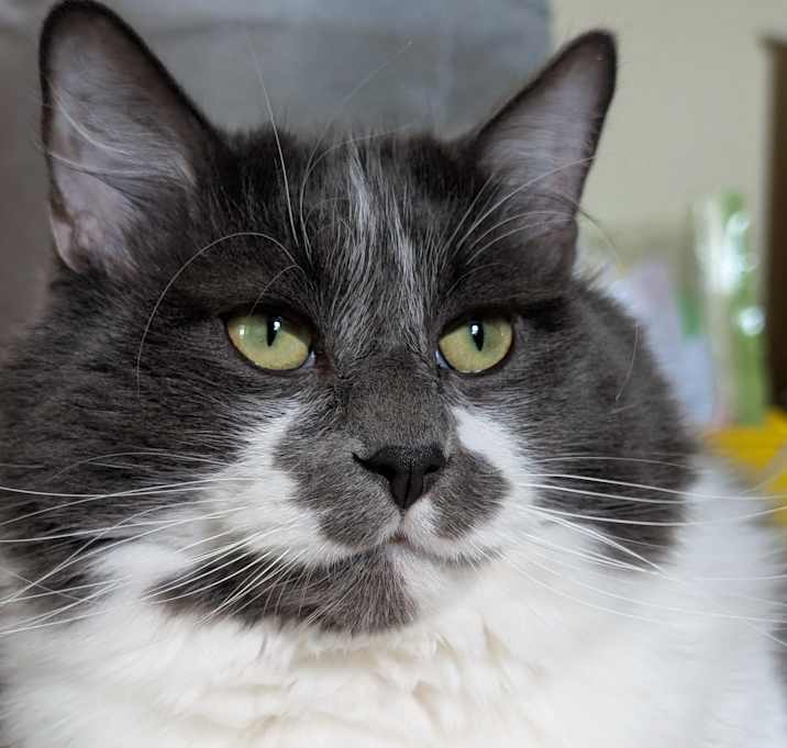 Photo of Tank