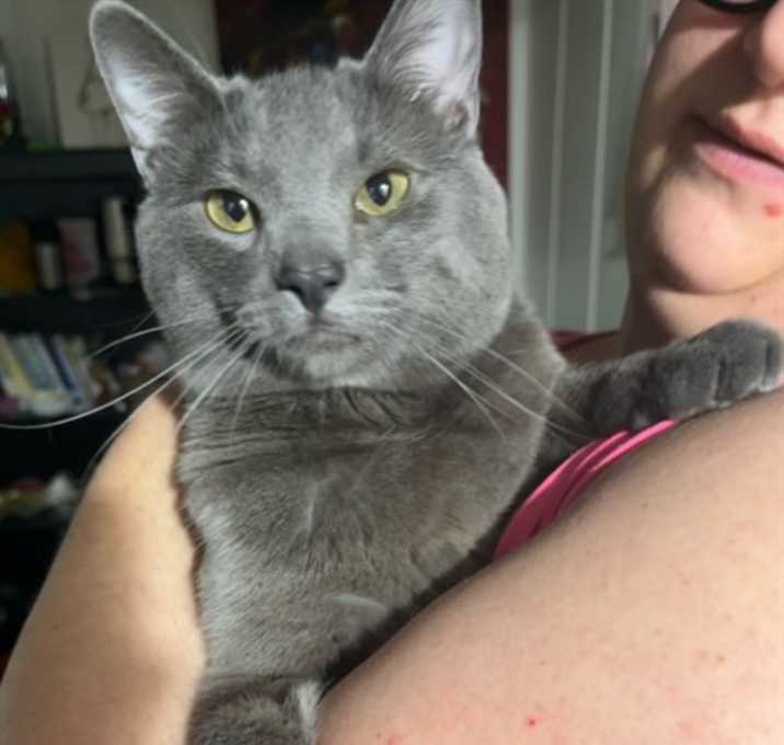 Photo of SMOKEY