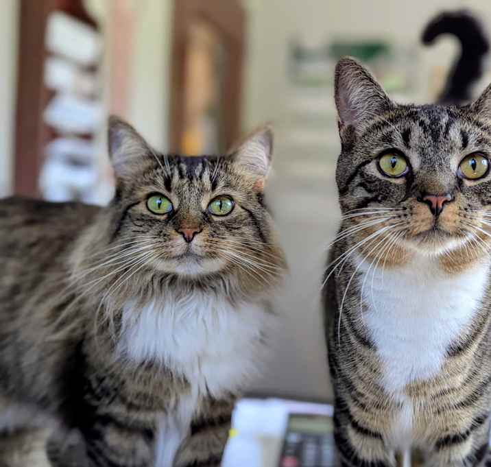 Photo of Valentine & Cupid
