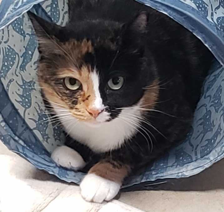 Photo of Maggie