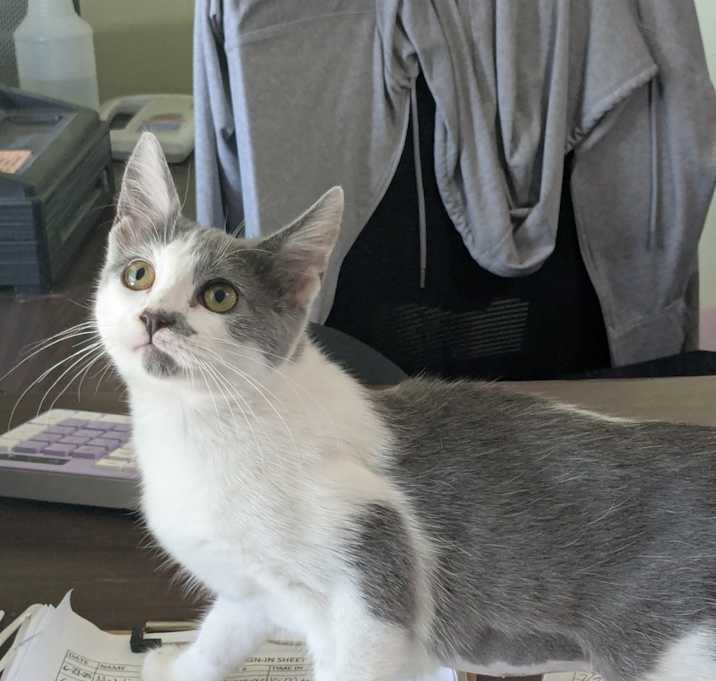 Photo of Tuna