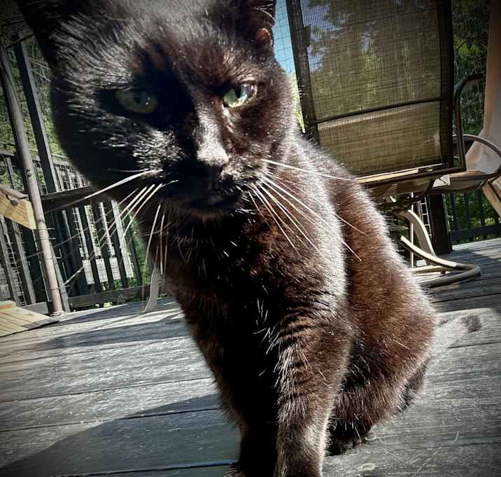 Photo of Nellee