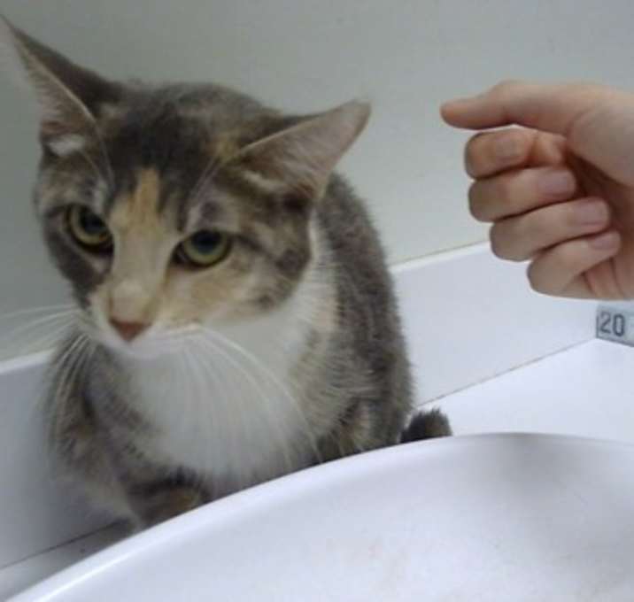 Photo of Stormy