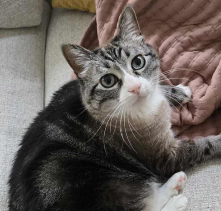 Photo of Mama