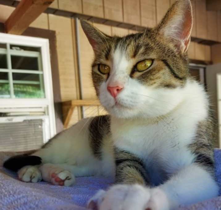 Photo of Cleo
