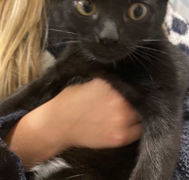 Photo of Batman