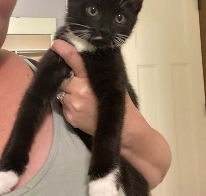 Photo of Mittens