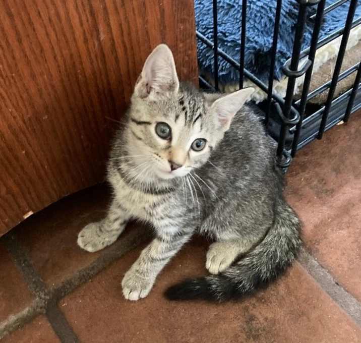 Photo of Tabitha