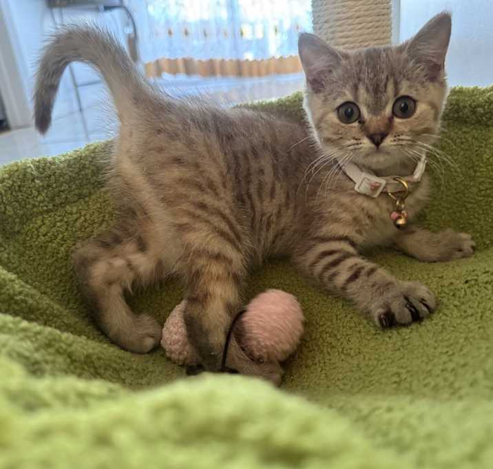 Photo of Hazel