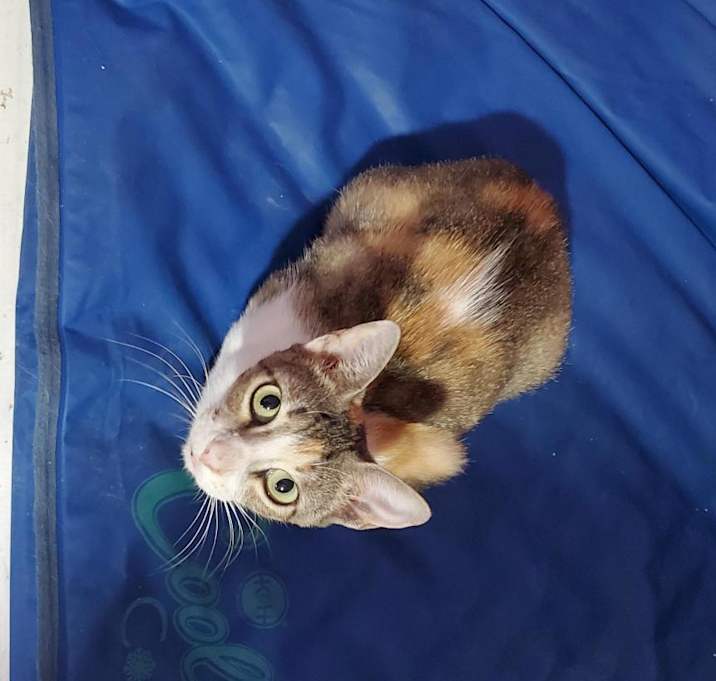 Photo of Charolette