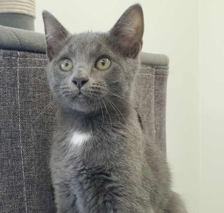 Photo of Tristan