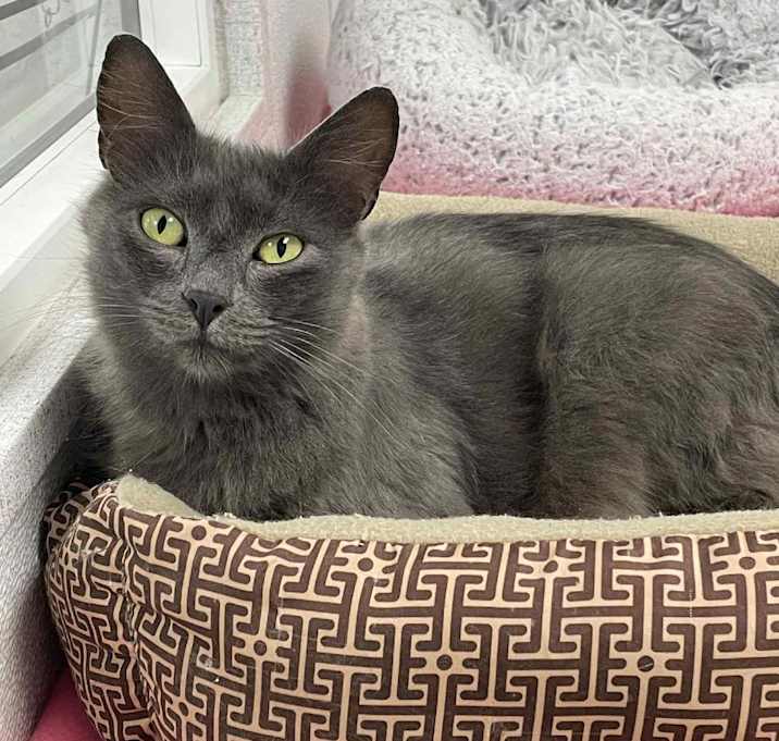 Photo of Princess Carolyn