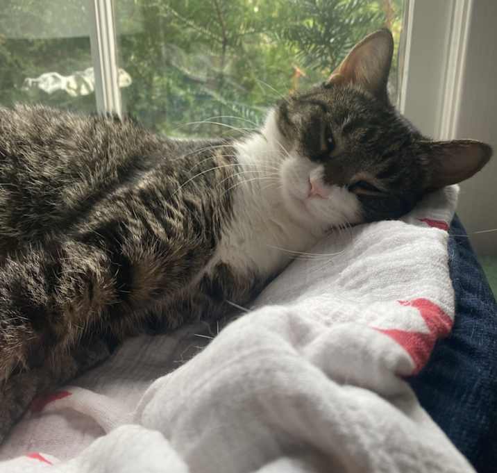 Photo of Jenny Furball