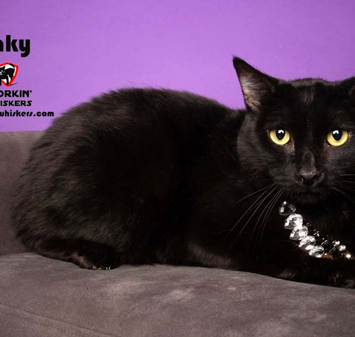 Photo of INKY