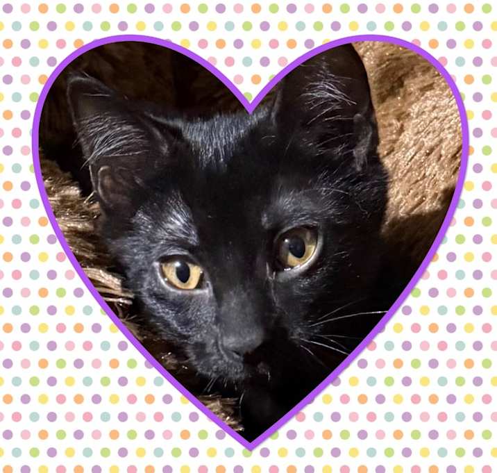 Photo of Void