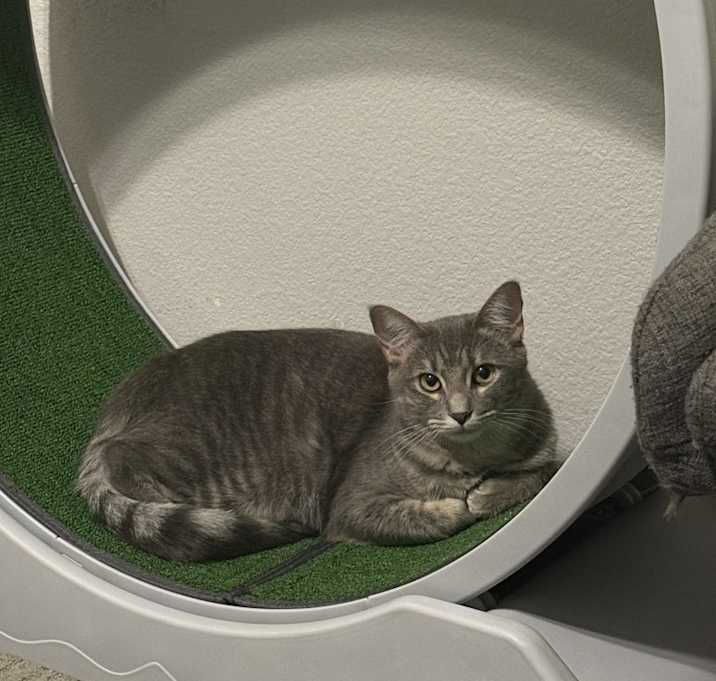 Photo of Luna