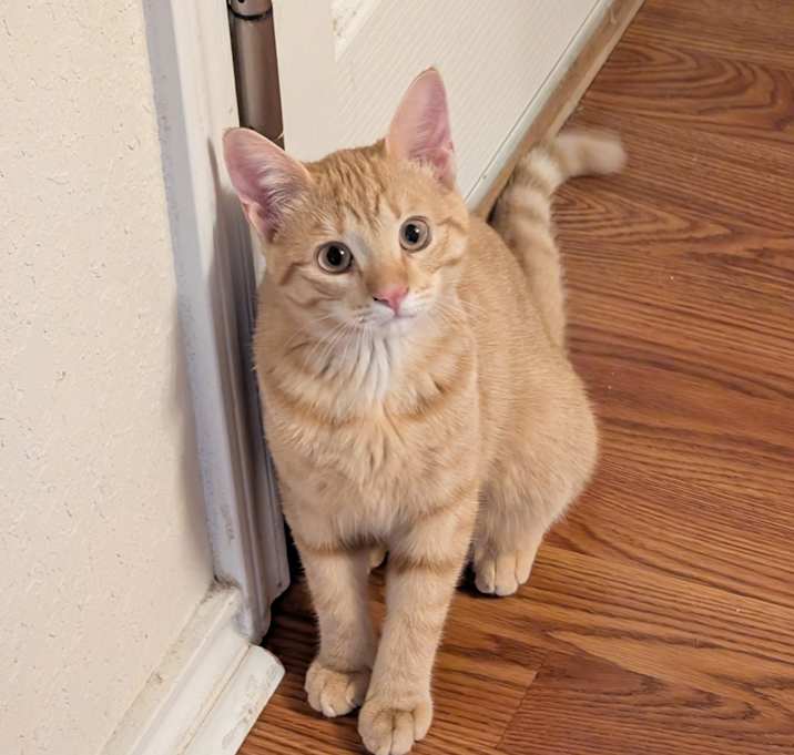Photo of Lilly