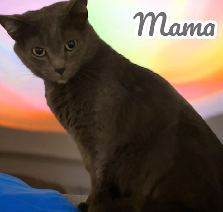 Photo of Mama