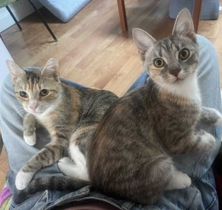 Photo of June and Bug