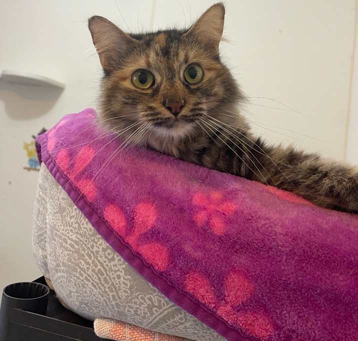 Photo of Mama Beans