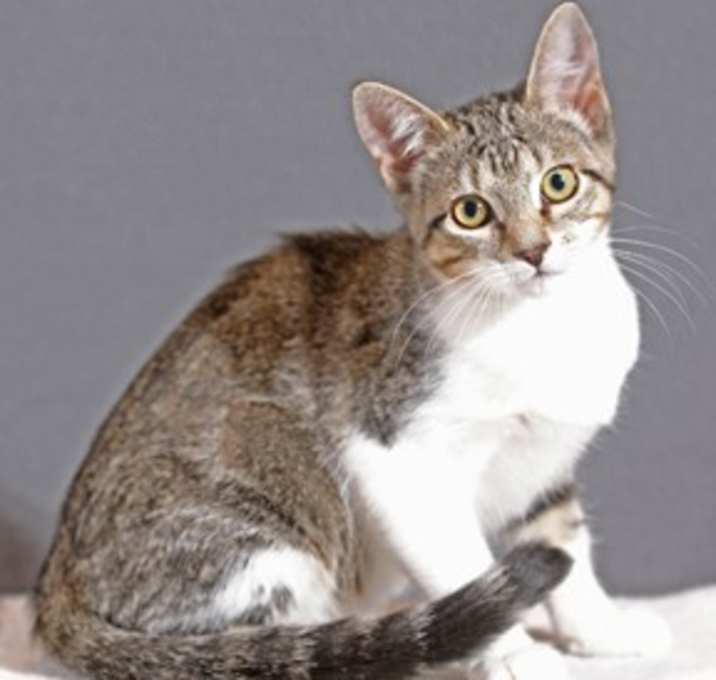 Photo of Avery