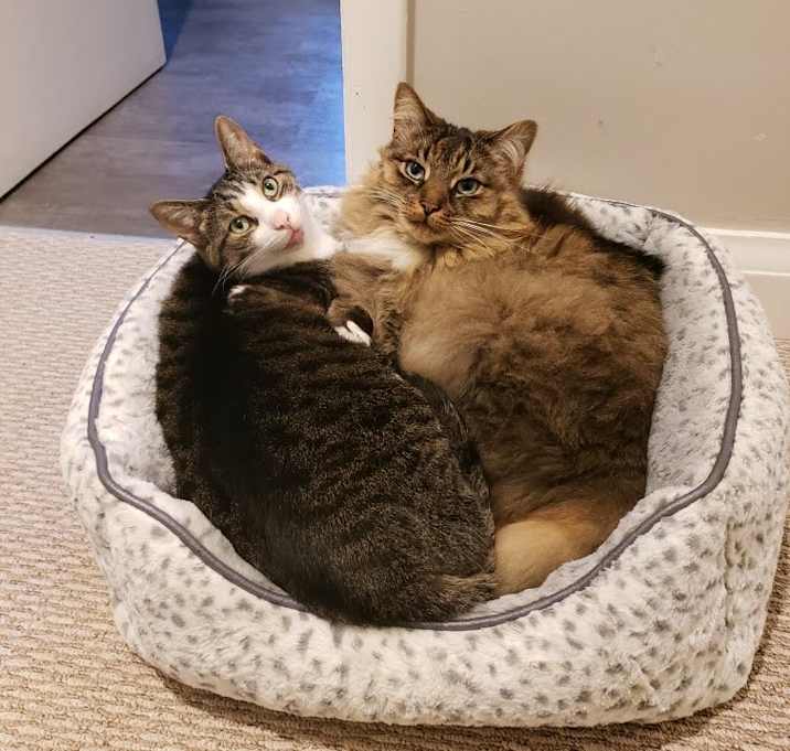 Photo of Ollie and Tommy