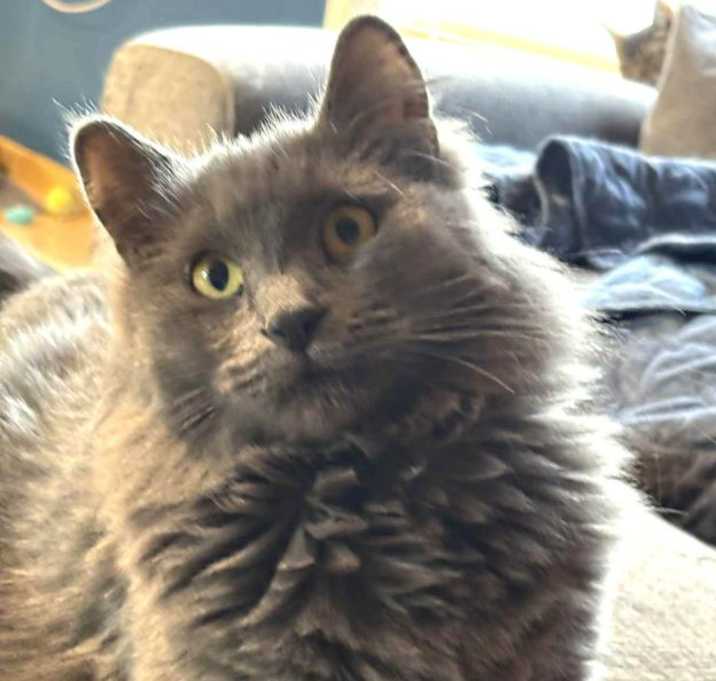 Photo of Cecelia