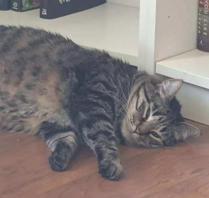 Photo of Kylo