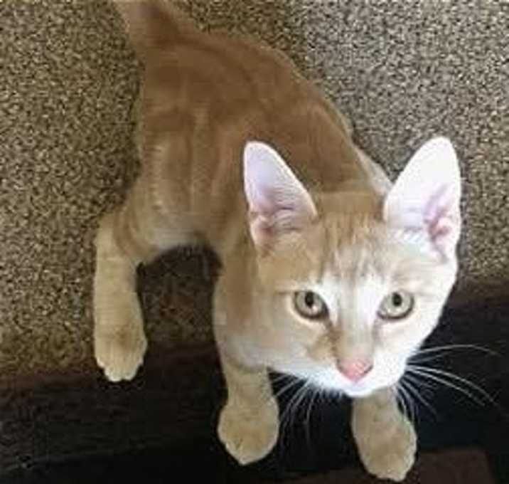 Photo of Maverick