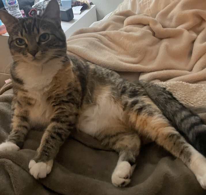 Photo of Bootsie
