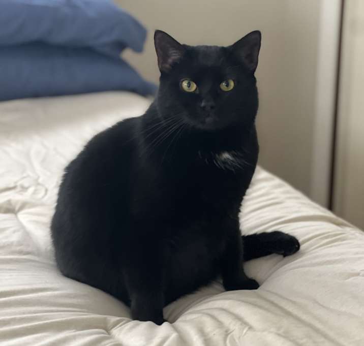 Photo of Greg aka “Comet”