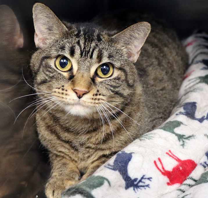 Photo of Dharma