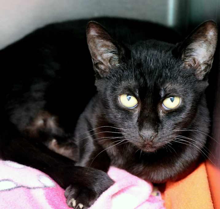 Photo of Doris