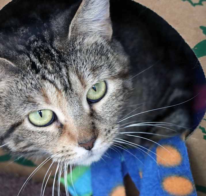 Photo of Tammy