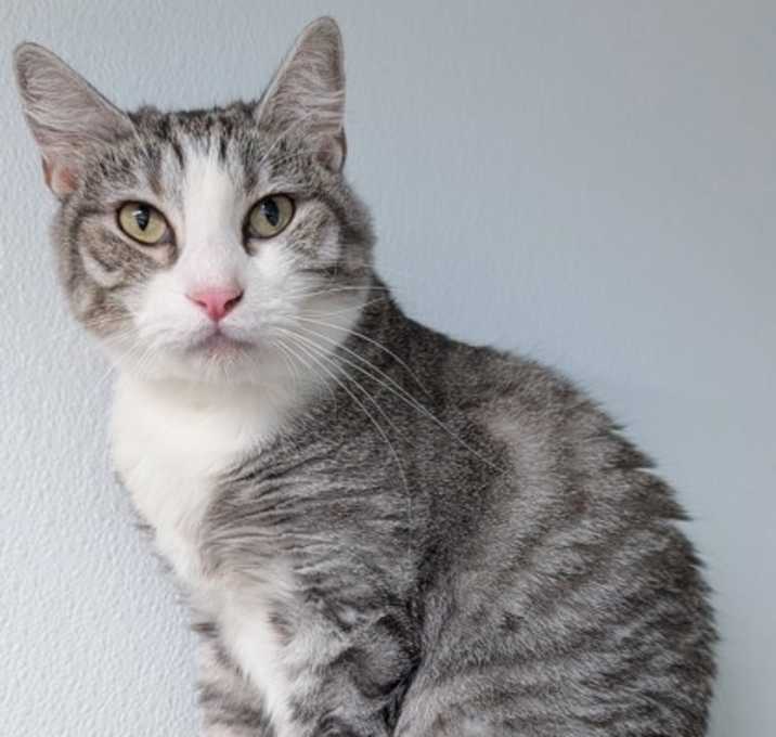 Photo of Gideon