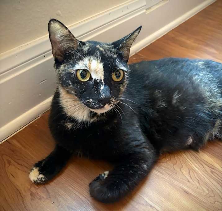 Photo of Crayola