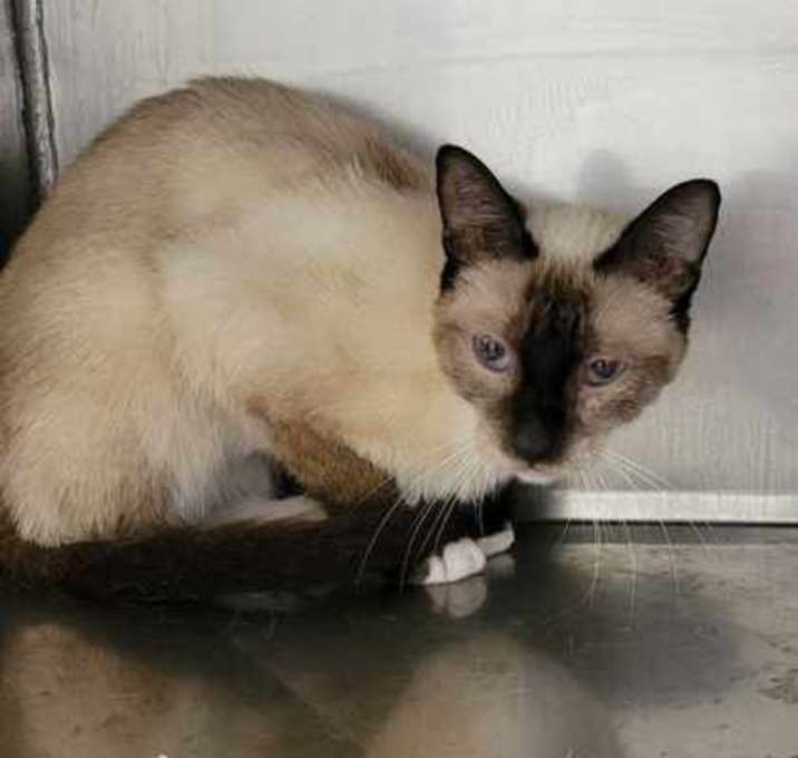 Photo of Beatrix
